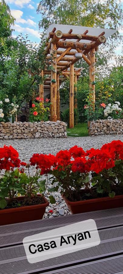 شقة Casa Aryan Sînpetru المظهر الخارجي الصورة