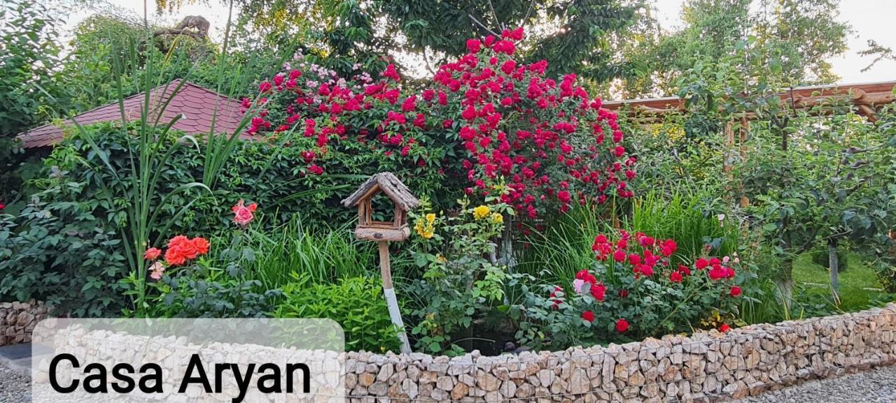 شقة Casa Aryan Sînpetru المظهر الخارجي الصورة